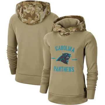 men's carolina panthers salute to service hoodie
